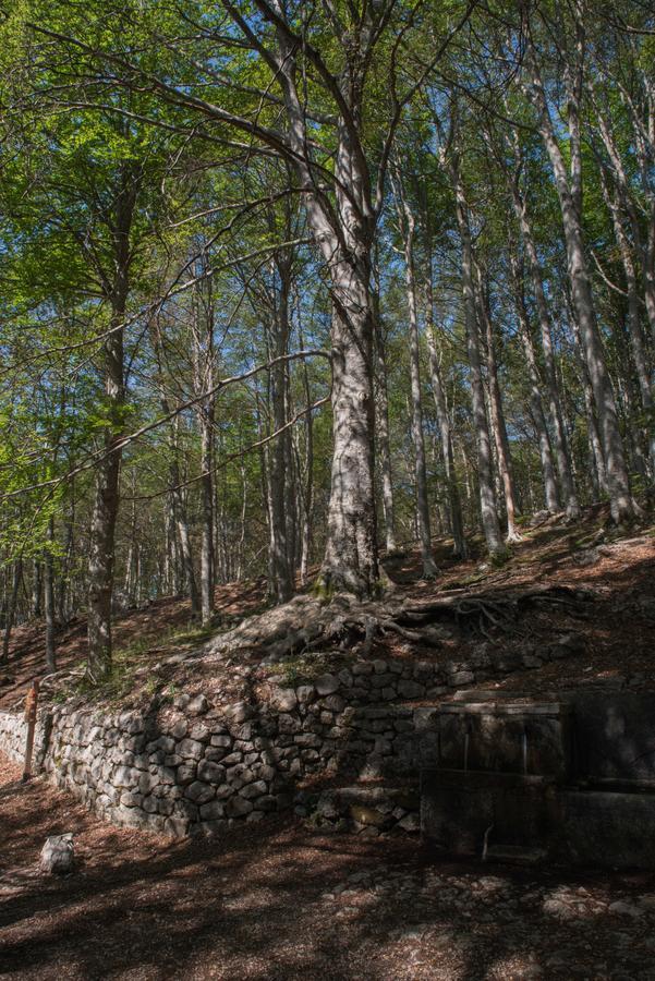 Albergo Parco Della Maiella Sant'Eufemia a Maiella Dış mekan fotoğraf
